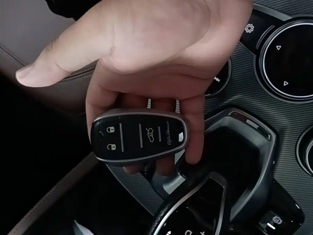 Alfa Romeo Stelvio 2021 2020 2.0T 280HP Luxury Edition