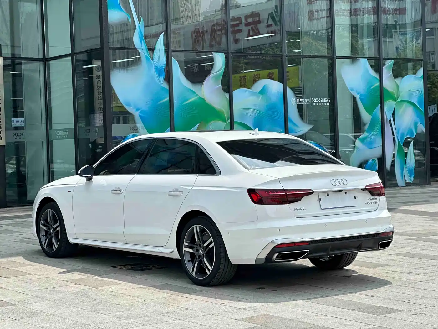 Audi A4L 2020 40 TFSI Luxury Dynamic фото 6