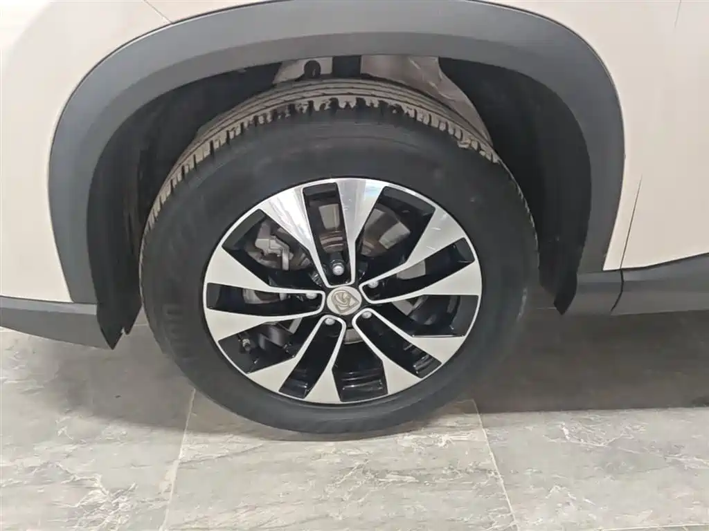 Baojun 530 2019 2020 1.5T CVT Premium Connect 7-seater