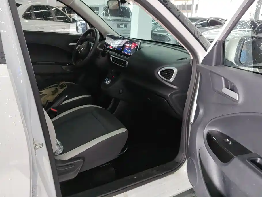 Ora White Cat 2020 2020 360km Standard Model