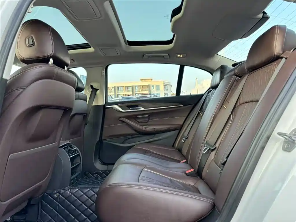 BMW 5 Series 2018 530Li xDrive Luxury Package фото 5