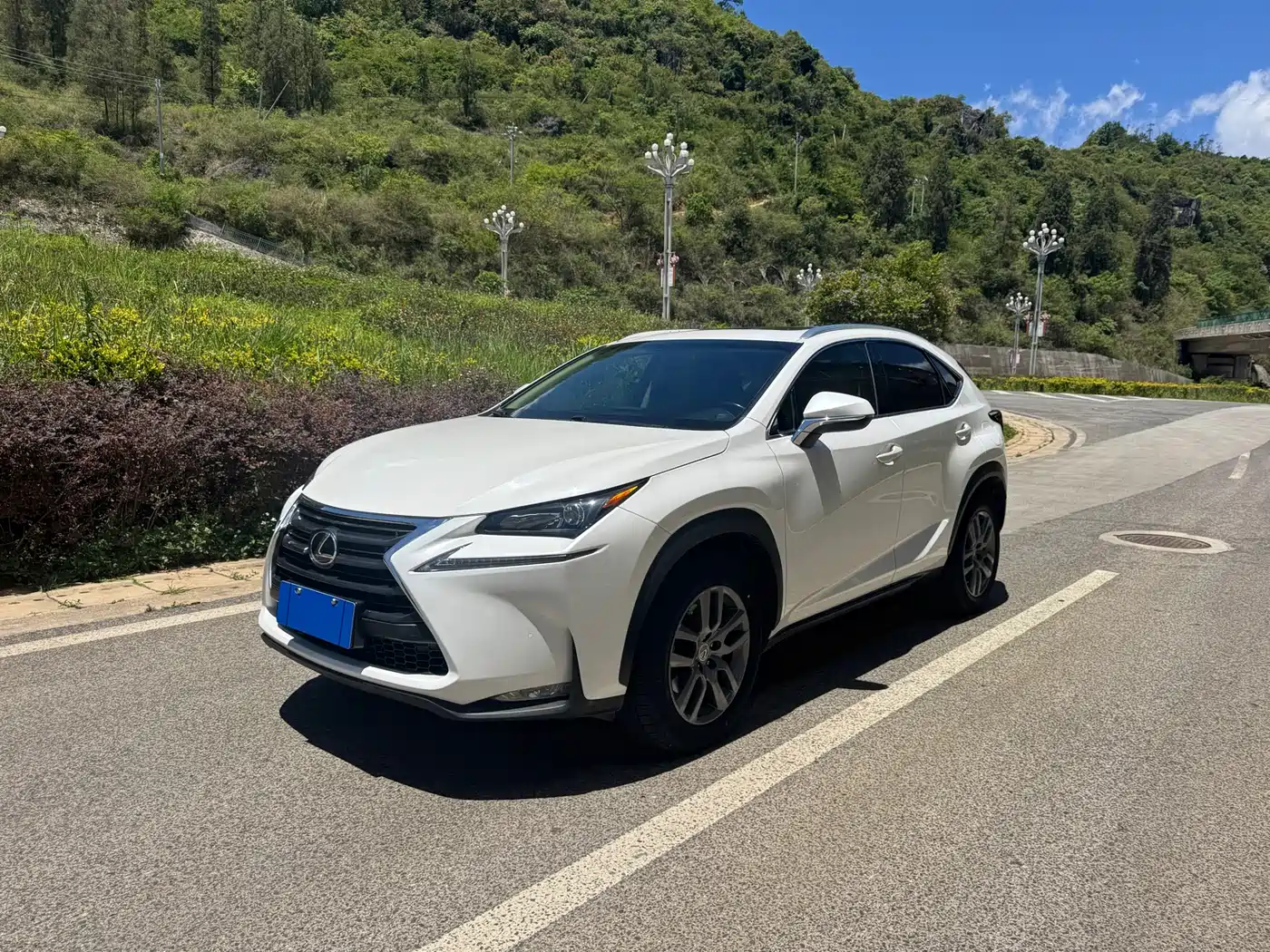 Lexus NX 2015 200t AWD F Sport