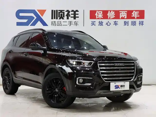 Haval H6 2020 2.0GDIT Automatic GT Champion Edition — фото 3