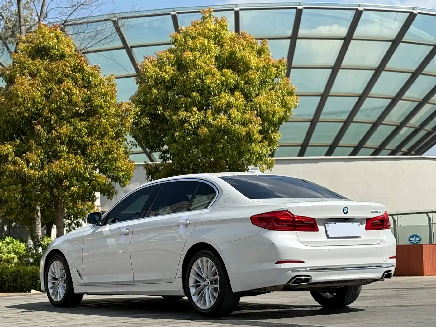 BMW 5 Series 2019 530Li Leading Luxury Package фото 9