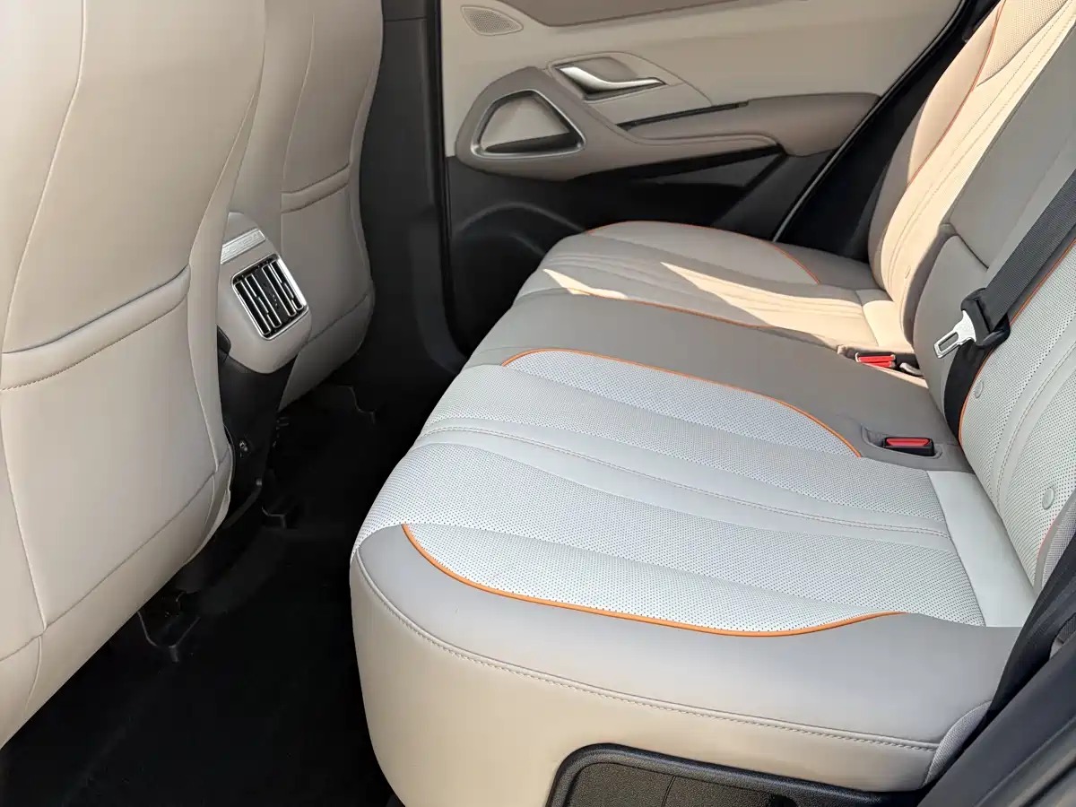 BYD Song Pro New Energy 2023 Champion Edition DM-i 110KM Excellence фото 7