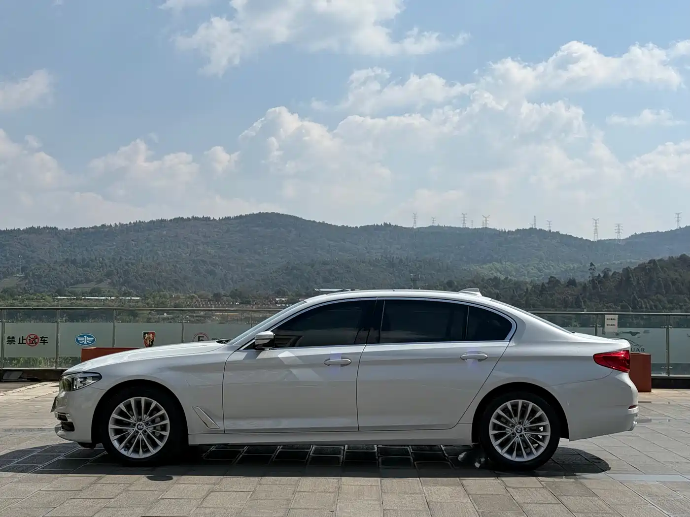 BMW 5 Series 2019 530Li Leading Luxury Package фото 10