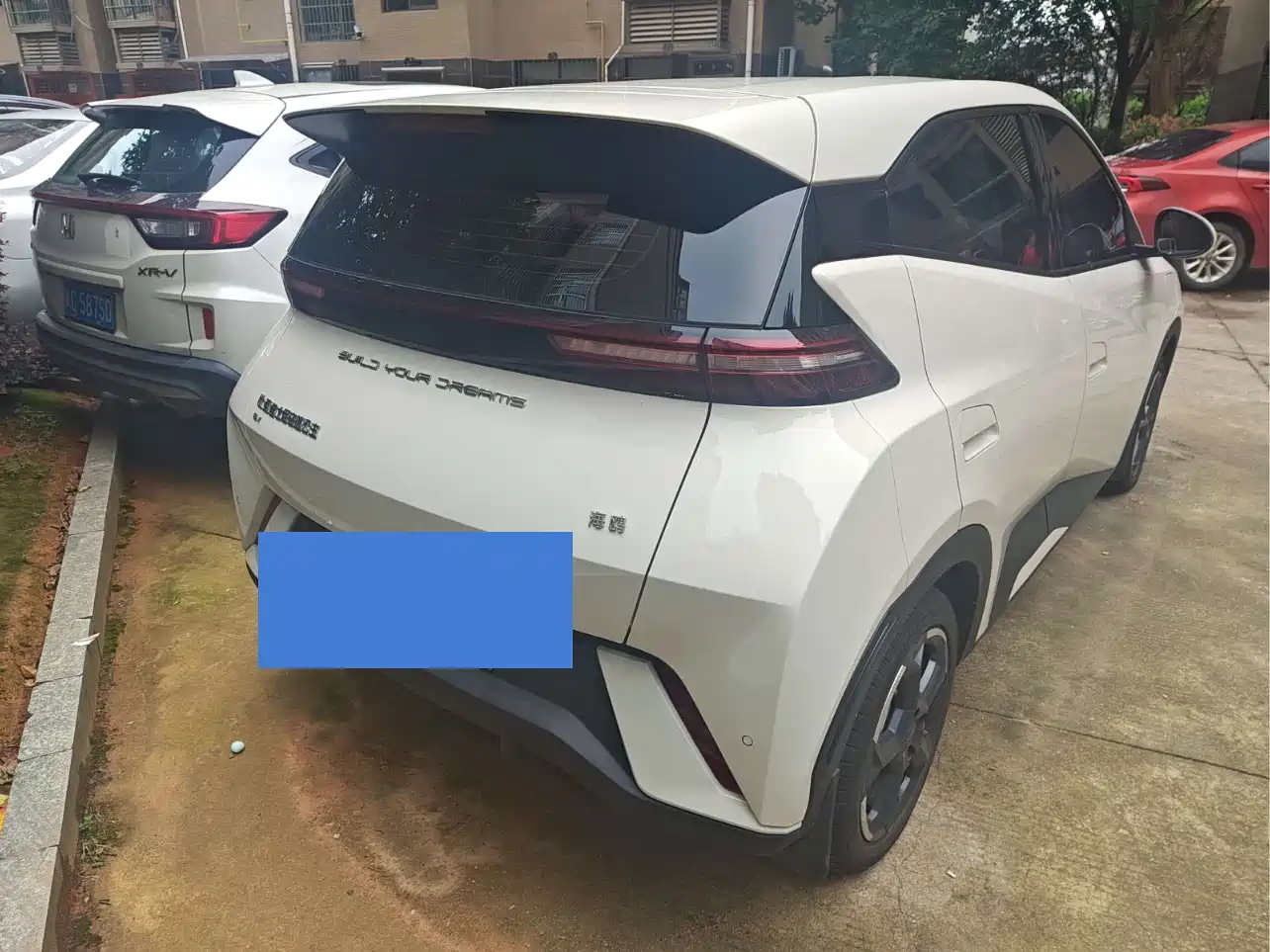 BYD Seagull 2024 Glory Edition 305km Freedom Edition фото 5