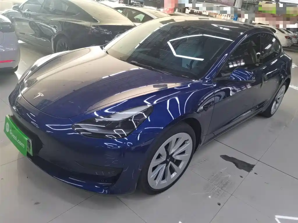 Tesla Model 3 2021 Facelift Standard Range RWD Upgrade 3D1