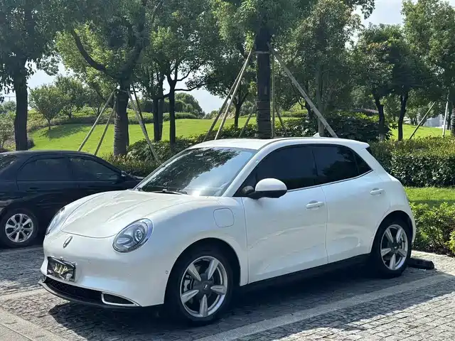 Ora Good Cat 2022 400km Standard Range Luxury LFP