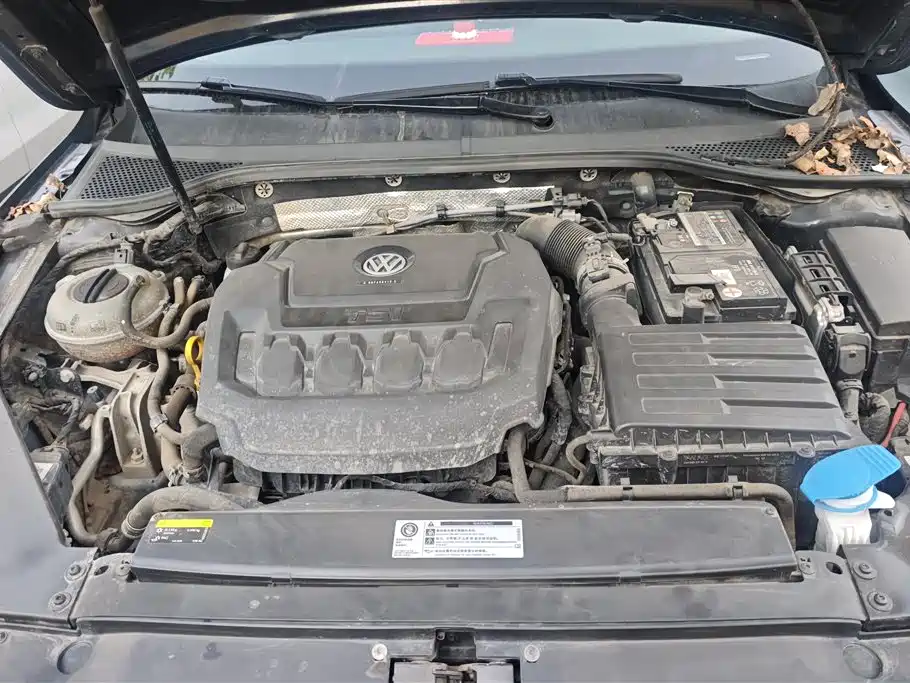 Volkswagen Magotan 2019 330TSI DSG Leading China V фото 10