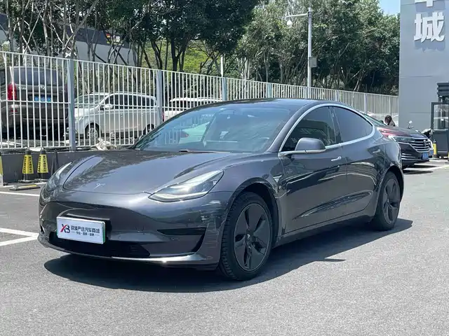 TESLA MODEL 3 2020