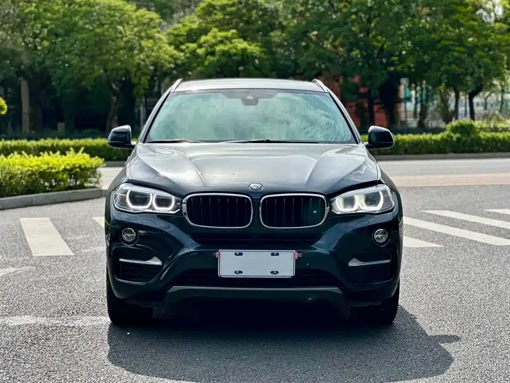 BMW X6 2015 xDrive35i Leading Type фото 2