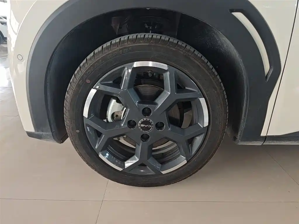 BYD Seagull 2025 Smart Drive Edition 305km Freedom Version фото 25
