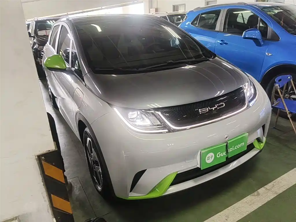 BYD Dolphin 2021 Model 405km Fashion Edition фото 4