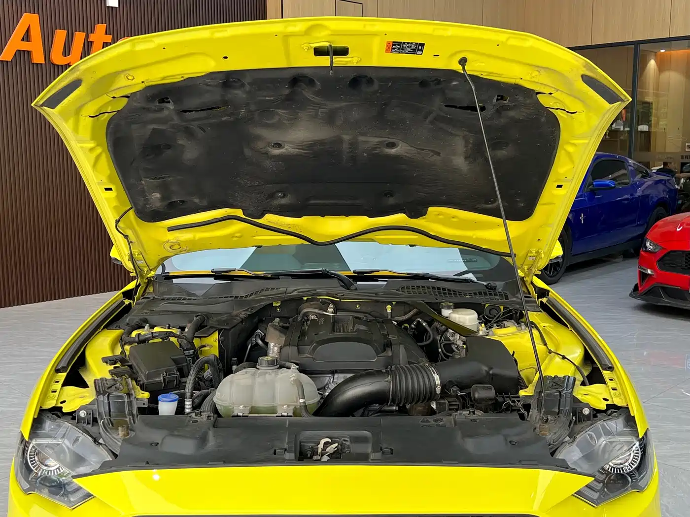 Ford Mustang 2023 2021 2.3L EcoBoost Light Recapture Limited Edition