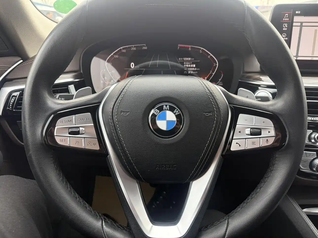 BMW 5 Series 2021 530Li xDrive Luxury Package фото 7