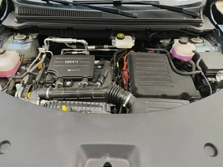 BYD SONGJIANG NEW ENERGY