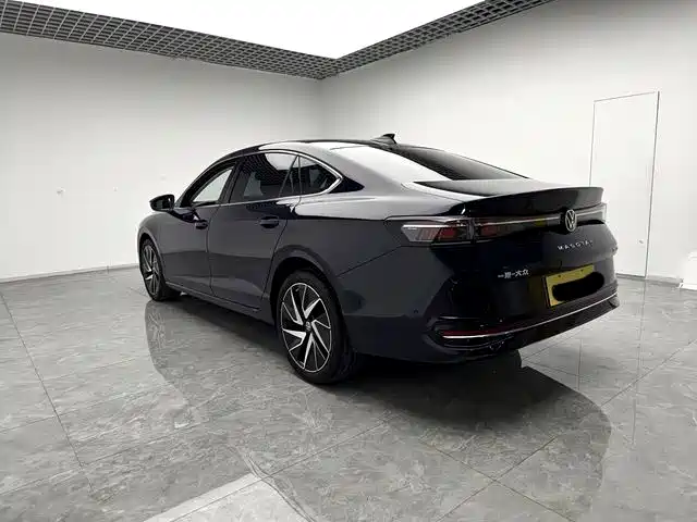 Volkswagen Magotan 2024 2024 380TSI DSG Ultimate Edition
