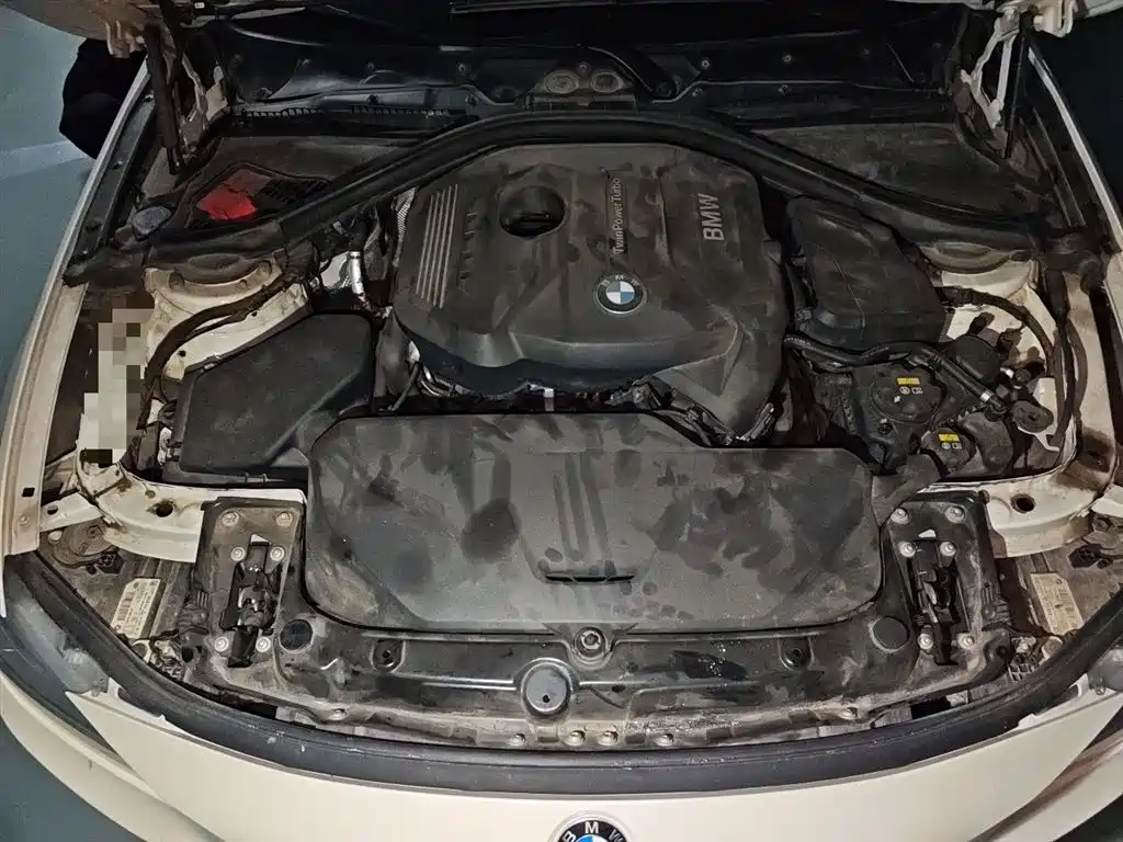 BMW 3 Series 2018 320Li Leading M Sport Package фото 11
