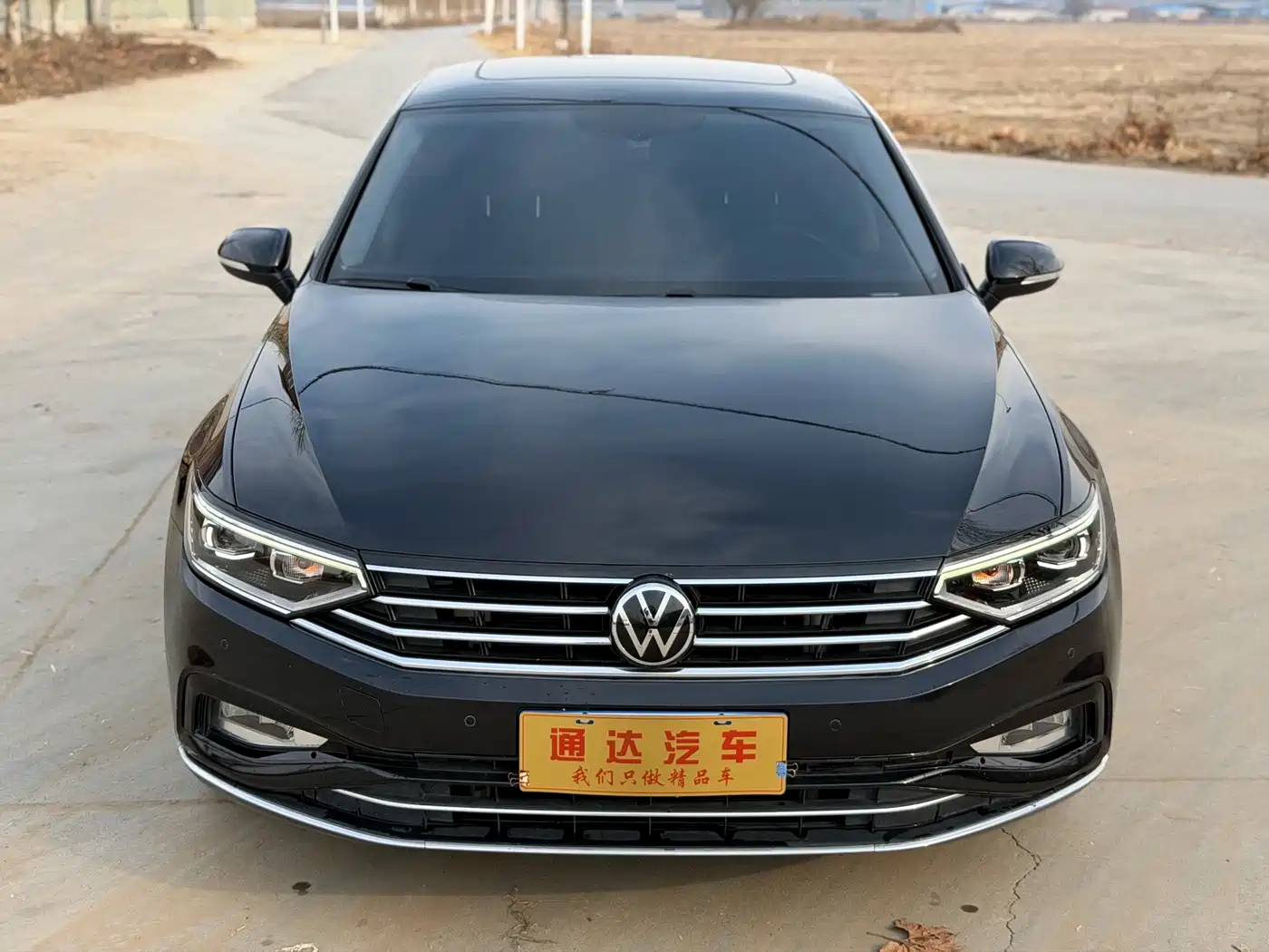 Volkswagen Magotan 2020 330TSI DSG Luxury