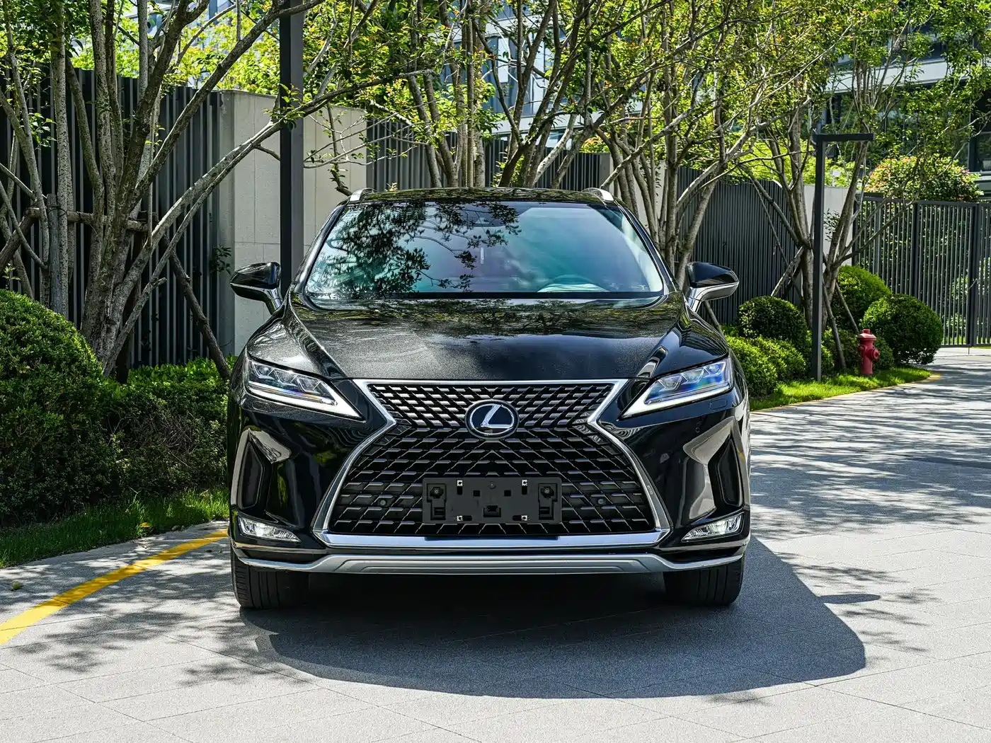 Lexus RX 2020 300 4WD Elegance Edition China VI фото 2