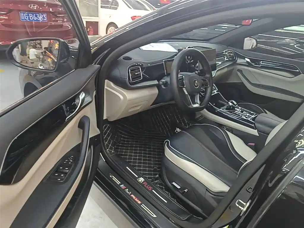 BYD Qin PLUS 2021 DM-i 55KM Flagship фото 15