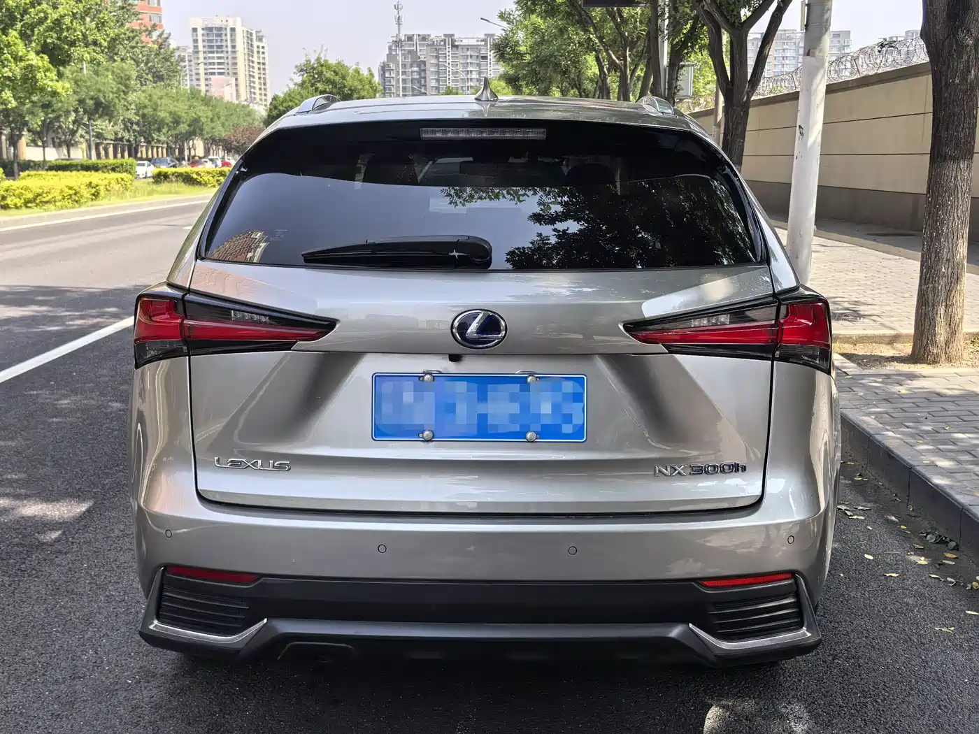 Lexus NX 2020 300h FWD F Sport China V фото 4