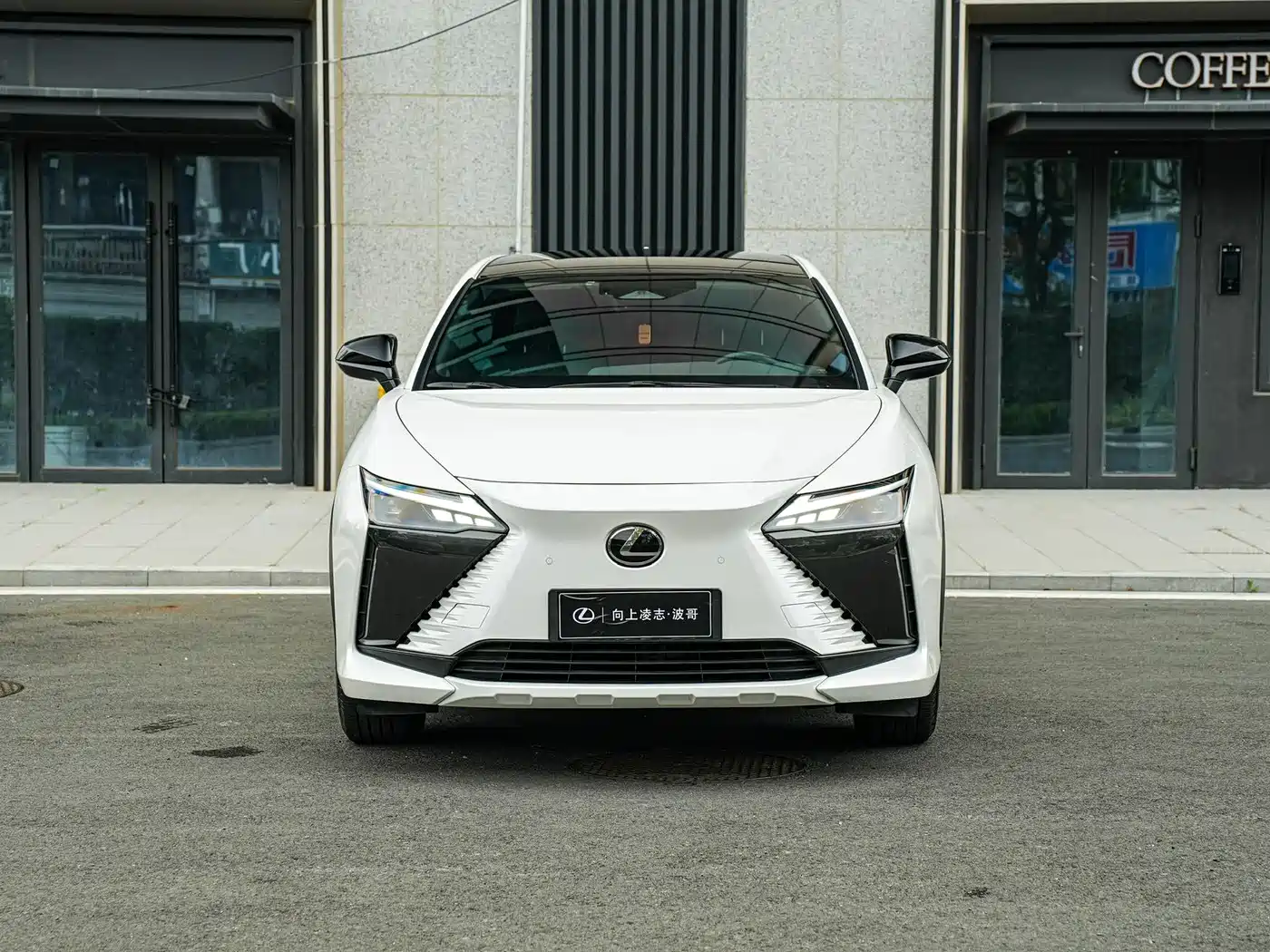 Lexus RZ 2023 450e 4WD Deluxe фото 2