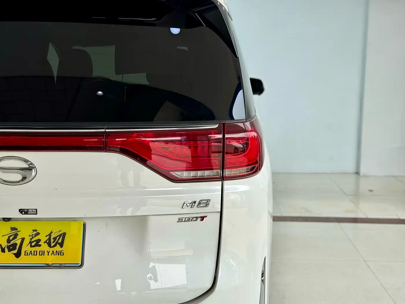 GAC Trumpchi Trumpchi M8 2021 Master Series 390T Ultimate Edition фото 24