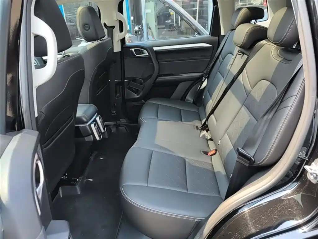 Haval Big Dog 2022 2.0T DCT 4WD Chinese Rural Dog Hunting Edition фото 17