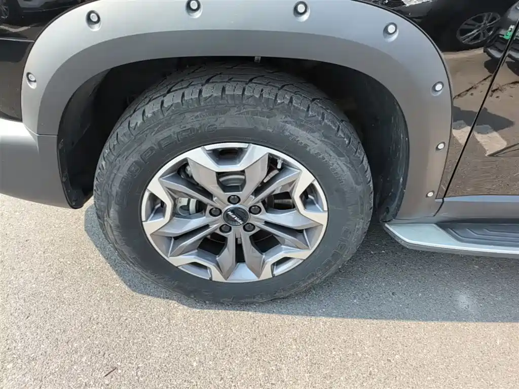 Haval Big Dog 2022 2.0T DCT 4WD Chinese Rural Dog Hunting Edition фото 23
