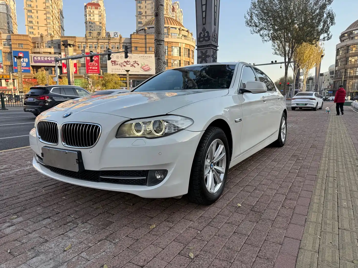 BMW 5 Series 2013 525Li Leadership