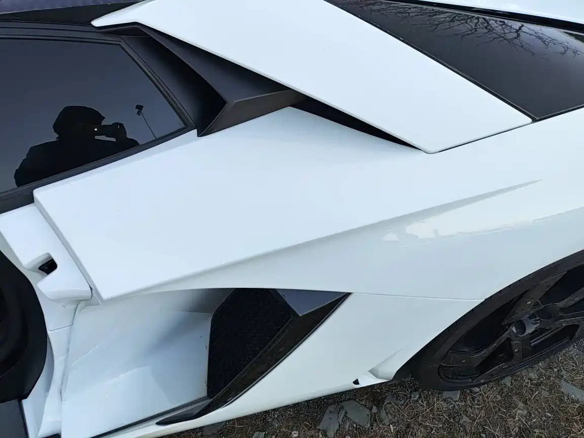 Lamborghini Aventador 2013 LP 700-4 Roadster фото 7