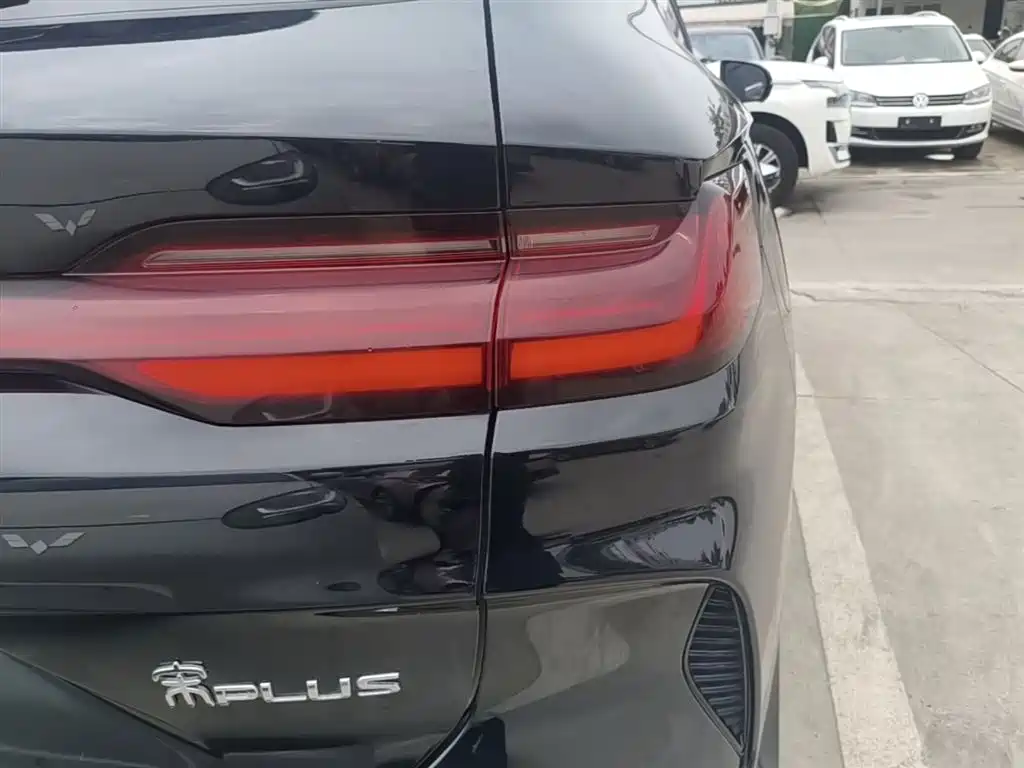 BYD Song PLUS PHEV 2023 Champion Edition DM-i 150KM Flagship PLUS фото 8