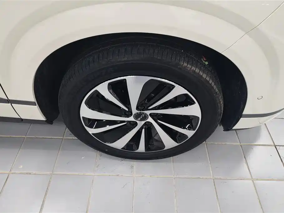 BYD Sealion 06 New Energy 2025 Model EV 520 Pilot Edition фото 6
