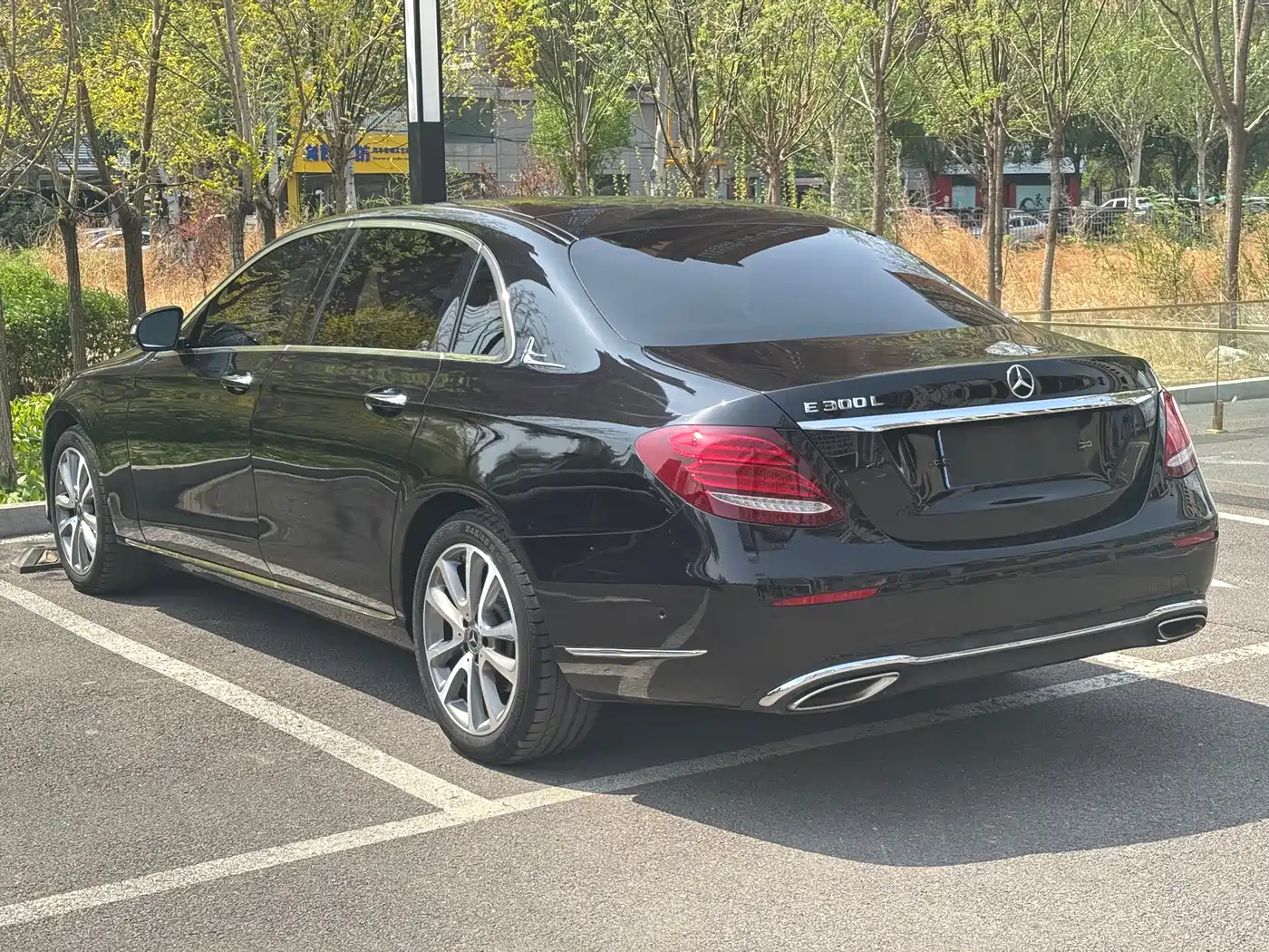 Mercedes-Benz E-Class 2019 Facelift E 300 L Luxury фото 4