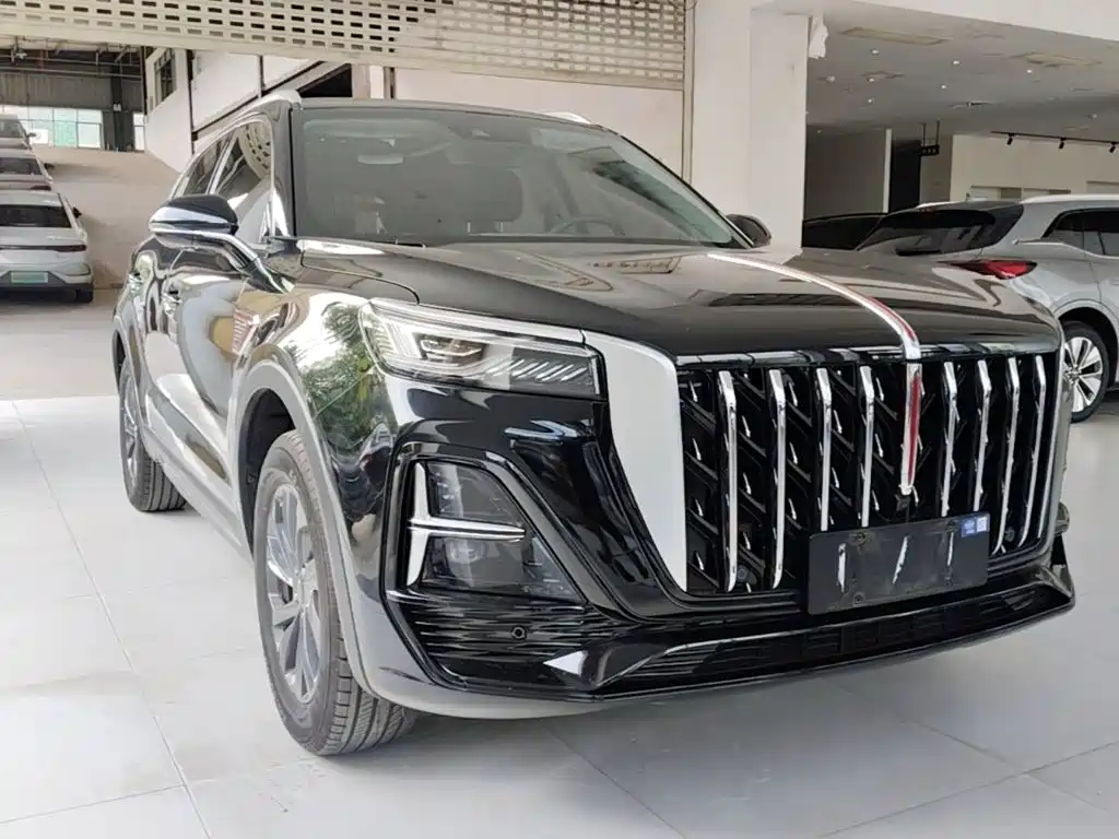Фото 4 - Hongqi HS5