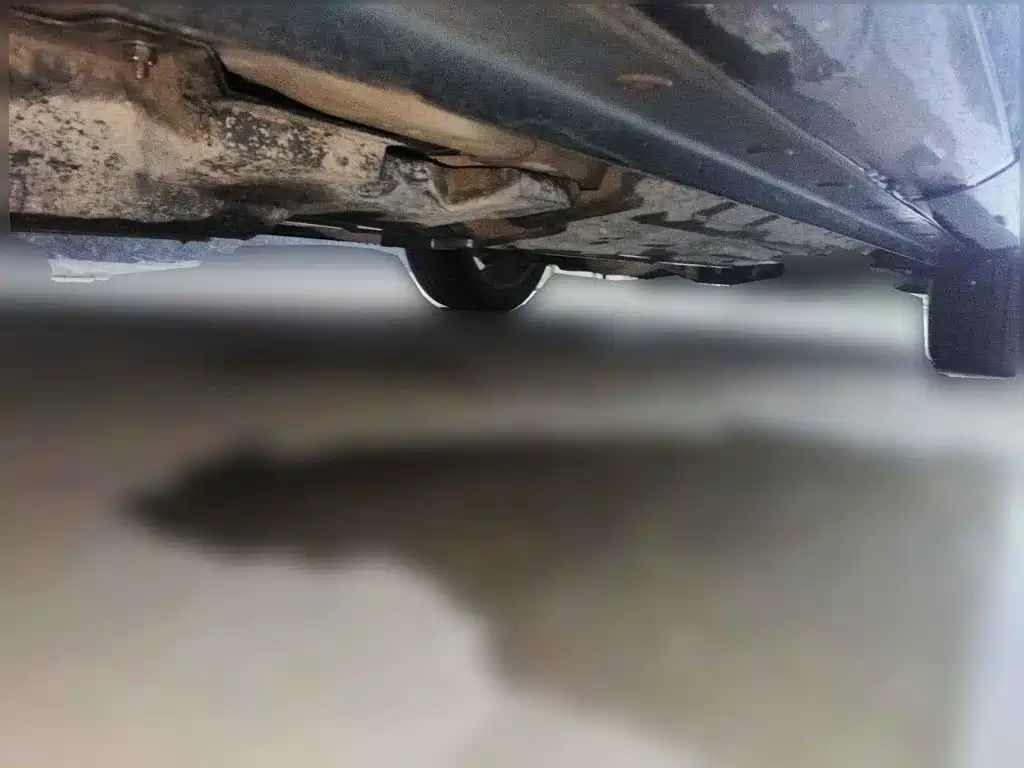 WEY Mocha 2022 2021 2.0T 2WD Premium Edition
