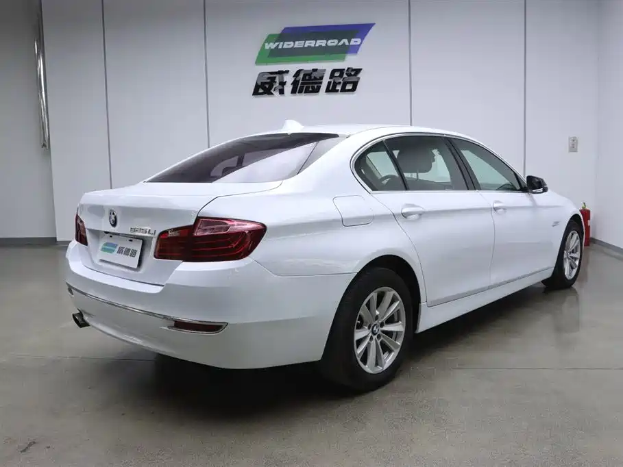 BMW 5 Series 2014 520Li Elegance фото 3
