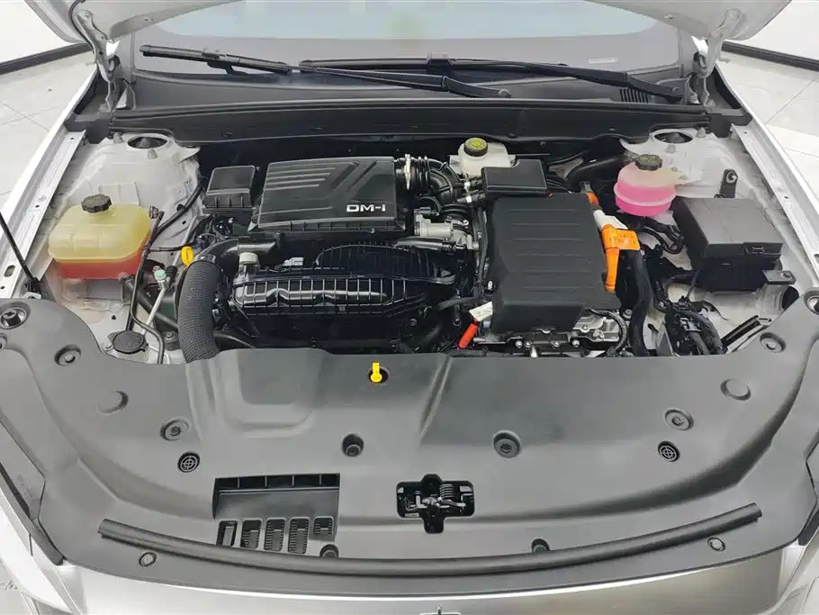 BYD Qin PLUS 2021 DM-i 55KM Flagship фото 10