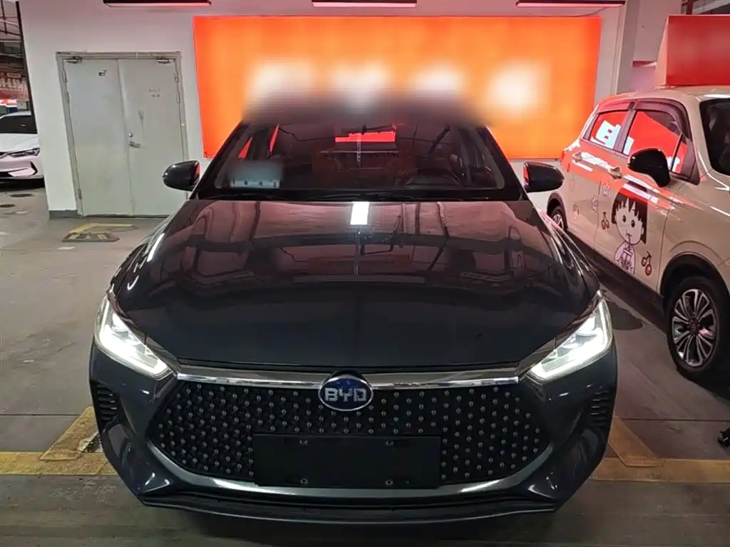 BYD e2 2021 Luxury Edition фото 3