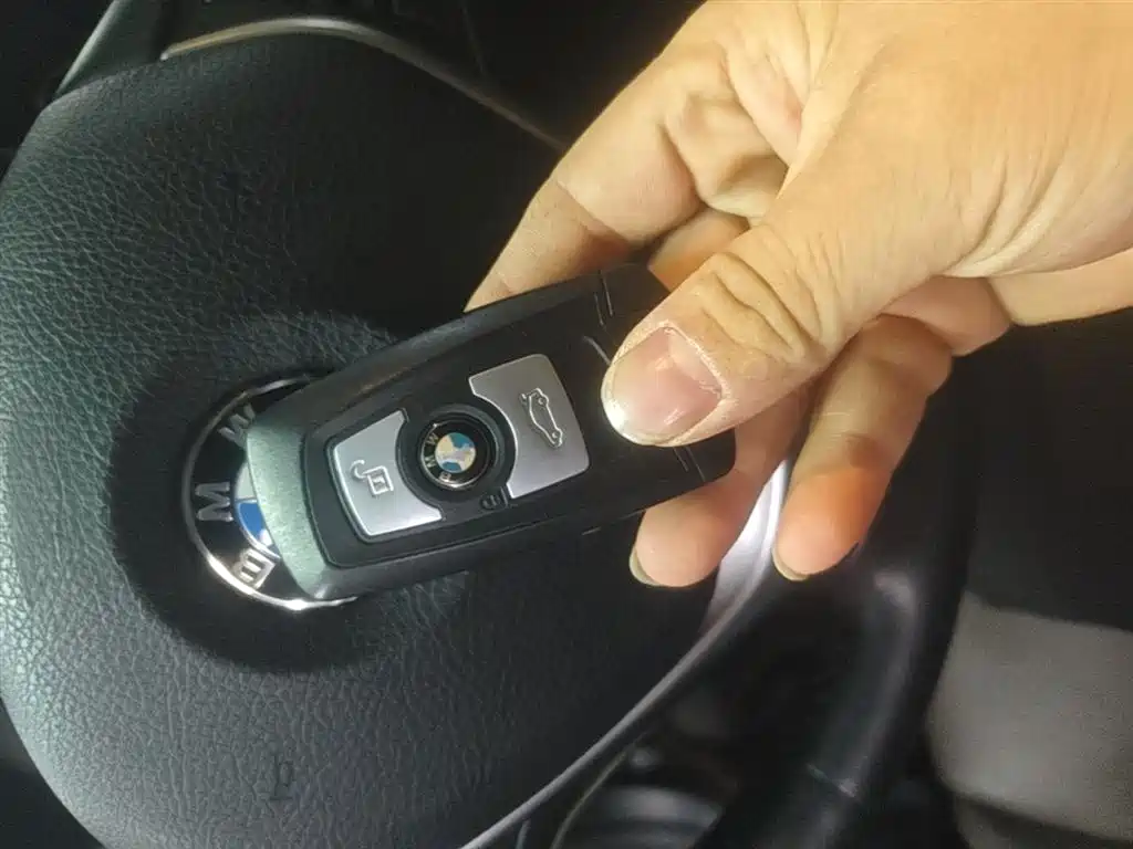 BMW 3 Series 2018 320Li Fashion Style фото 9