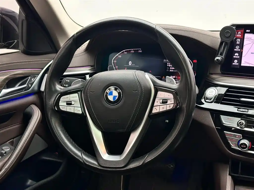 BMW 5 Series 2021 530Li Leading Luxury Package фото 12
