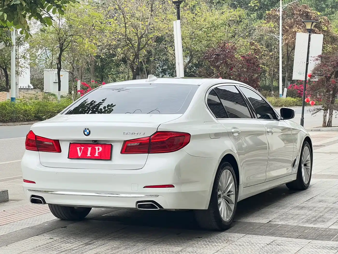 BMW 5 Series 2019 530Li Leading Luxury Package фото 4