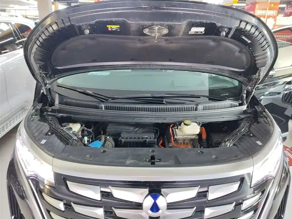 Denza D9 2022 DM-i 970 AWD Flagship фото 20
