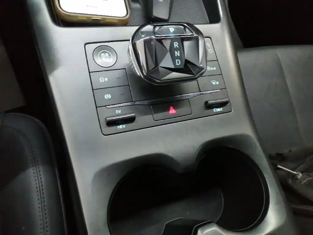 BYD Qin PLUS 2025 DM-i Smart Drive 55KM Leader фото 14