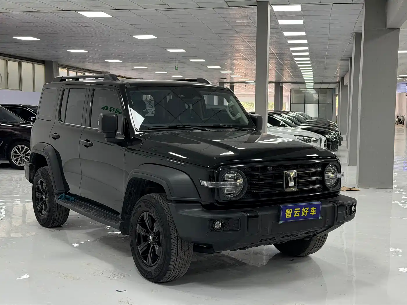 Tank 300 2023 Off-Road Edition 2.0T Conqueror фото 3
