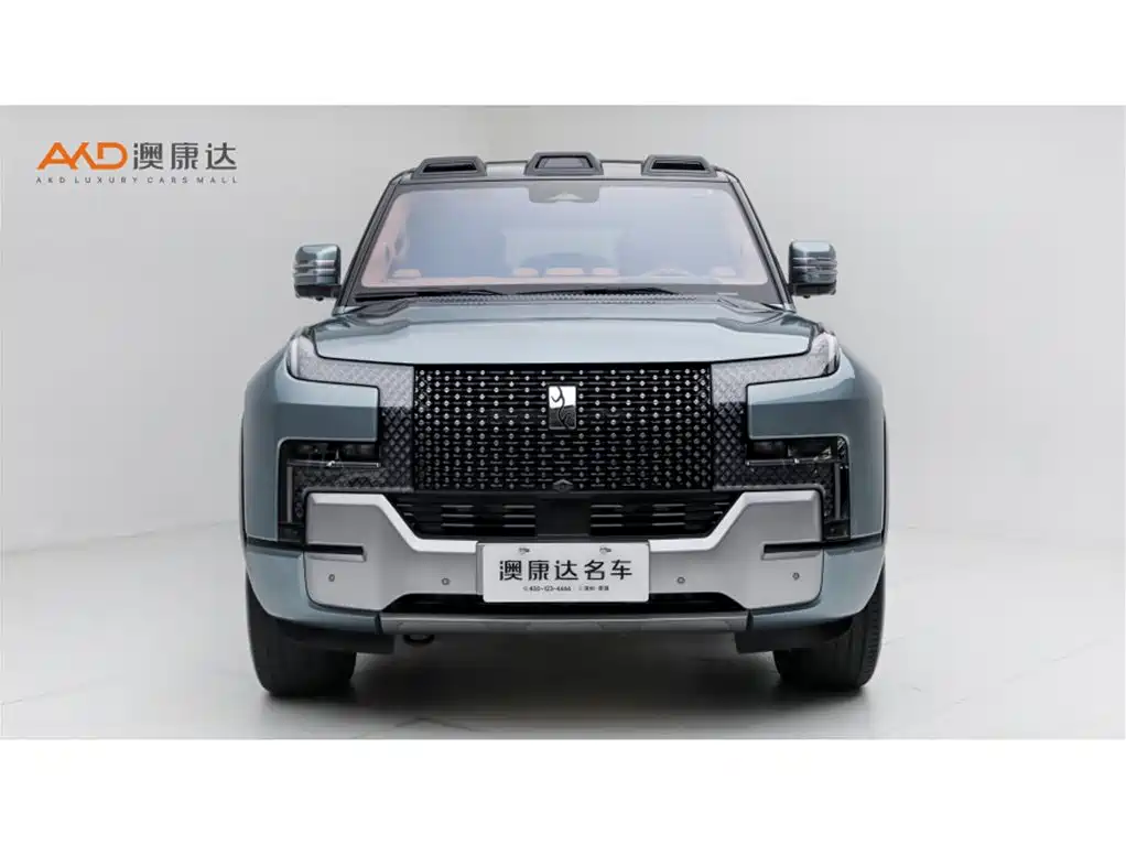 Yangwang U8 2024 2023 Luxury Edition