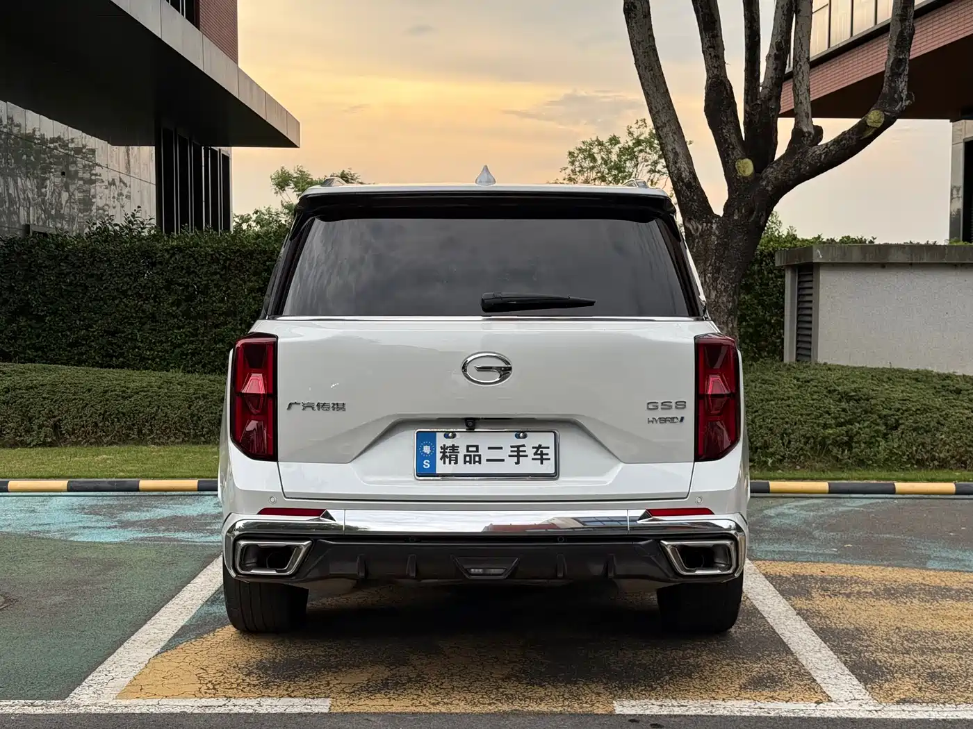 GAC Trumpchi Trumpchi GS8 2022 Dual Engine Series 2.0TM 2WD Premium Edition (6-Seater) фото 6
