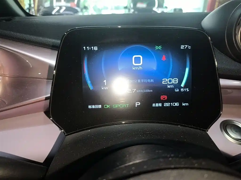BYD Dolphin 2021 405km Freedom Edition фото 12